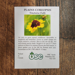 Plains Coreopsis