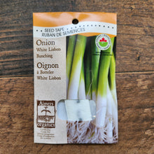 'White Lisbon' shallot bunching on organic ribbon