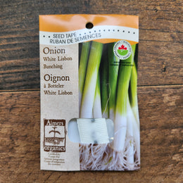 'White Lisbon' shallot bunching on organic ribbon