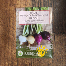 Radish Mix Tourne-Sol