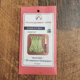 Organic 'Maxibel' green bean