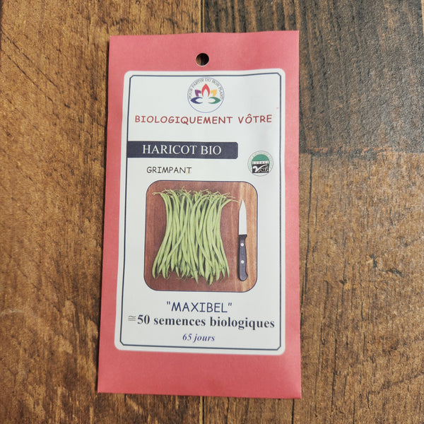 Organic 'Maxibel' green bean