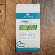 Green Leaf Lettuce 'Biondi'