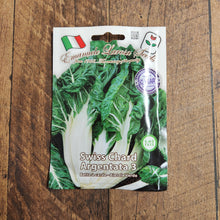 Swiss Chard 'Argentata 3'