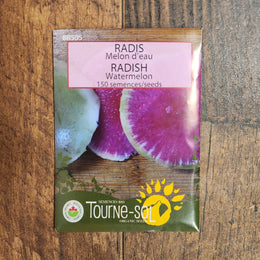 Organic 'Watermelon' Radish