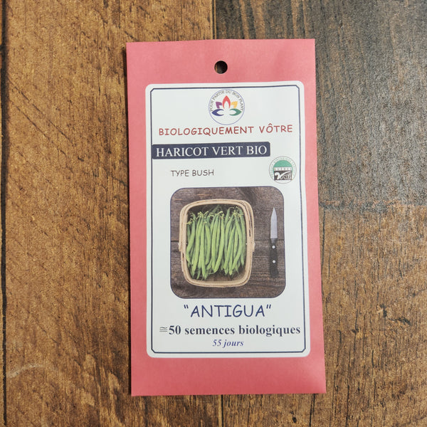 Organic 'Antigua Bush' green bean