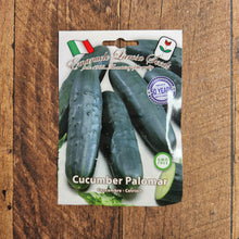 Cucumber 'V Palomar'