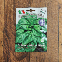 Spinach 'Winter Giant'
