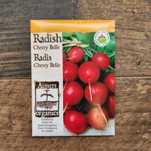 Organic 'Cherry Belle' radish
