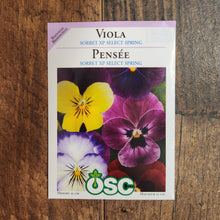 Viola 'Sorbet XP Select Spring'