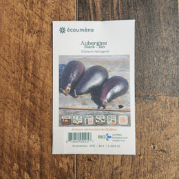 Organic 'Black' eggplant