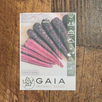 Carotte mauve 'Deep purple' bio