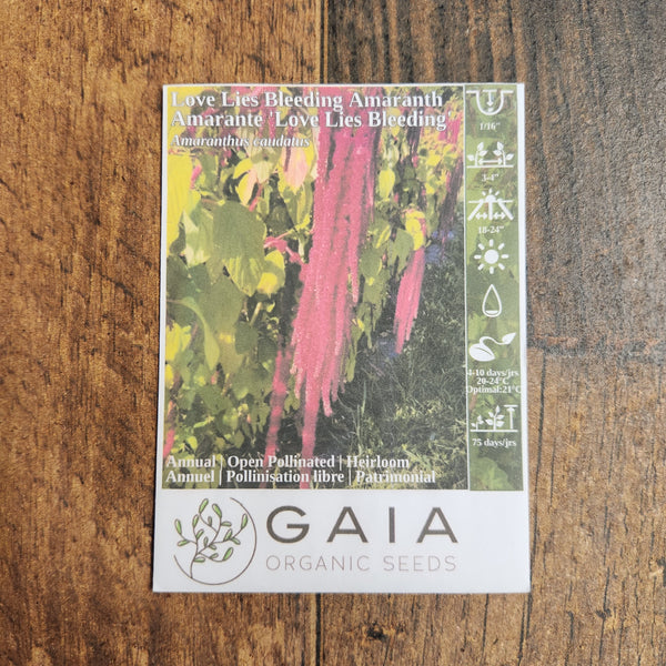 Amaranth 'Love Lies Bleeding' organic
