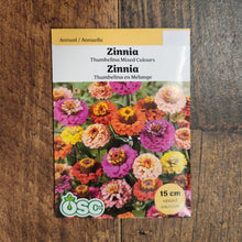 Zinnia 'Thumbelina Mixed Colors'