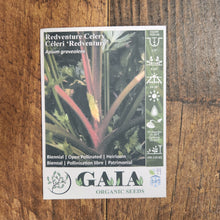  Celery 'Redventure' organic
