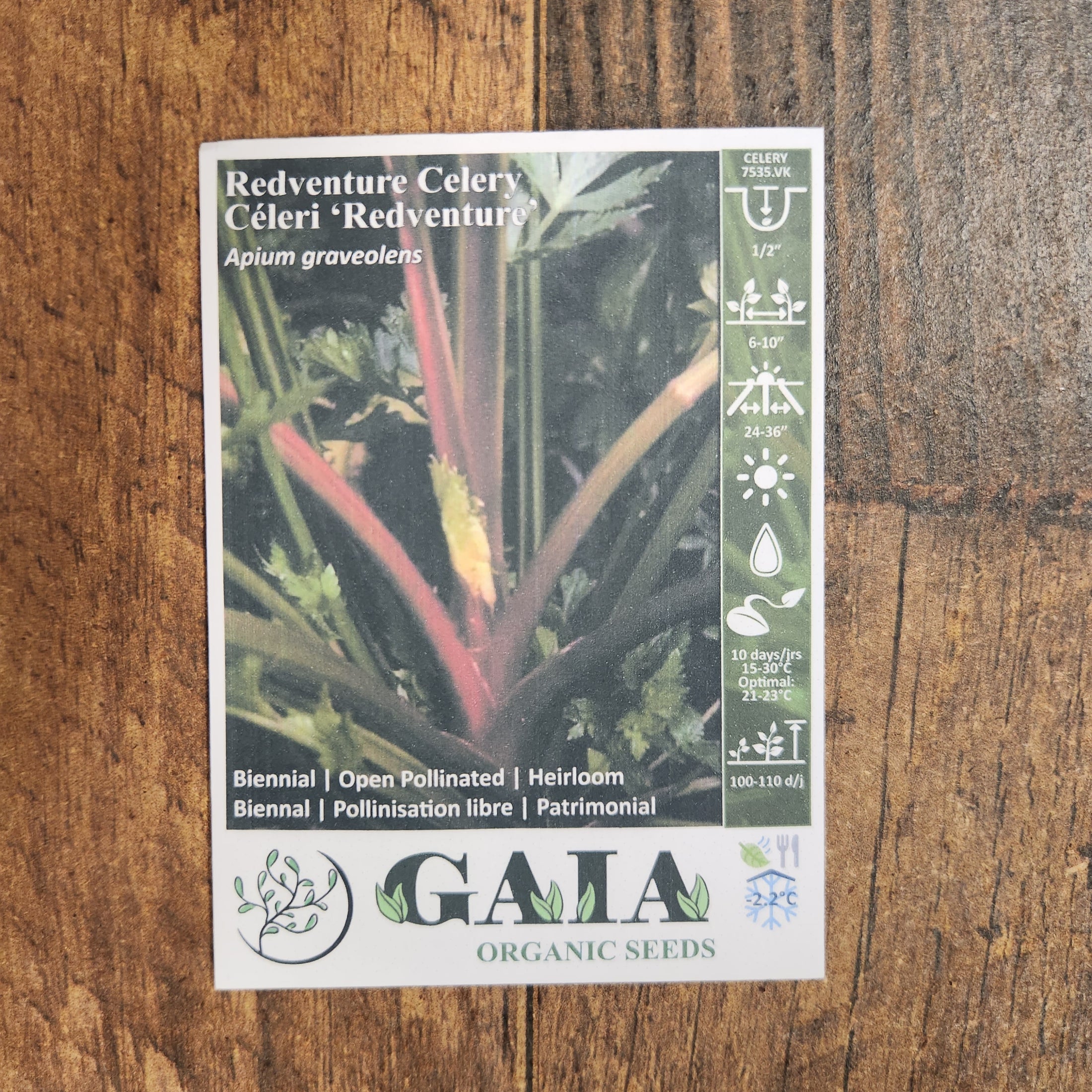  Celery 'Redventure' organic