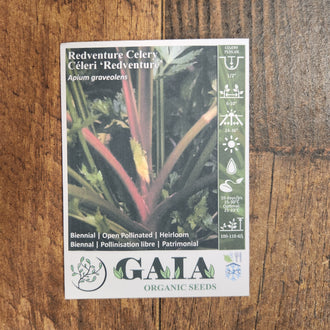 Organic 'Redventure' Celery Seeds by Gaia, product image prepared for Canadian gardeners.