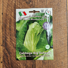 Cabbage 'Big Oxheart' (Cuor di Bue)