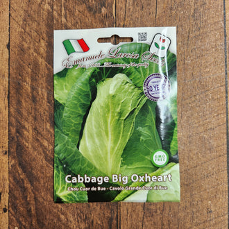 Product image of Cuor di Bue Pointed Cabbage, a cabbage cultivar supplied as Weston seed. The photograph shows the identifying appearance presented for this variety and helps gardeners recognize the packet or plant while comparing options for a home garden. For best results, label the row and observe the plants regularly as conditions change through the season. Adjust watering to rainfall, wind, container size, and the actual moisture at soil level.