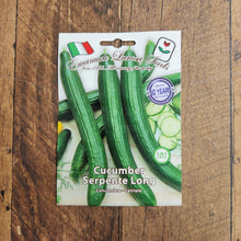 Cucumber 'Serpent'