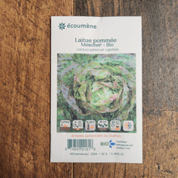 Organic 'Mescher' Head Lettuce