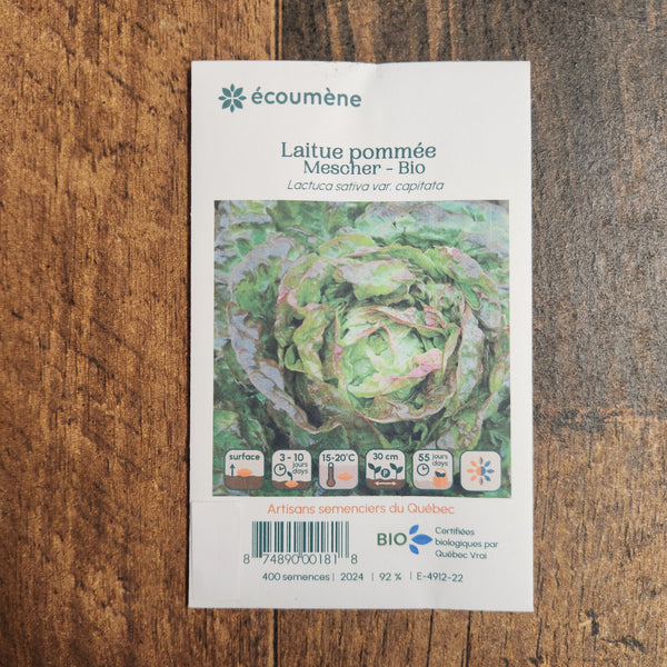 Organic 'Mescher' Head Lettuce