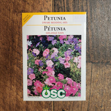 Pétunia nain 'Bedding Mix'