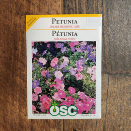 Pétunia nain 'Bedding Mix'