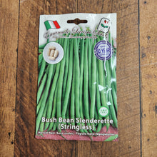 Bush bean stringless