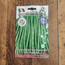 Bush bean stringless