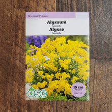 Alyssum saxatiles