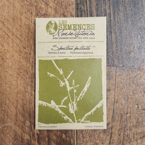 Spartina pectinata