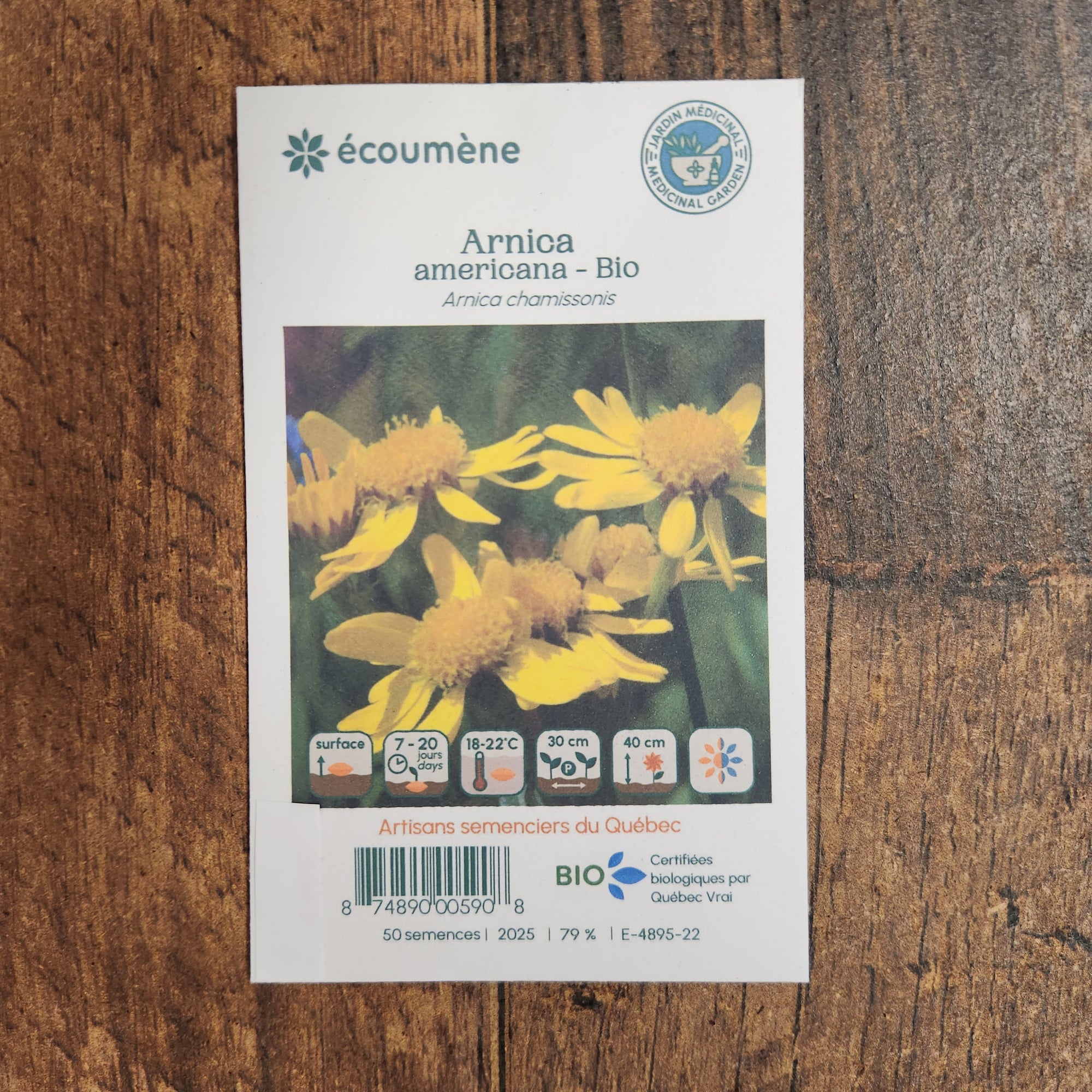 Sachet de semences Arnica americana. Emballage blanc photographié de face sur un fond de bois brun. Une image du végétal occupe la partie centrale, sous le nom imprimé. De petits pictogrammes et un code-barres apparaissent au bas du sachet. La marque Écoumène figure dans la partie supérieure de cette présentation.