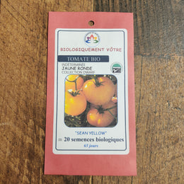 Organic yellow tomato 'Sean's Yellow'