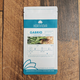 Celeriac 'Gabrio'