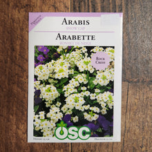Snowcap Arabis