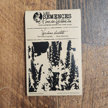 Verveine hastée