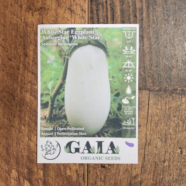 Eggplant 'White Star' organic