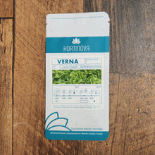 Green Head Lettuce 'Verna'