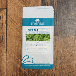 Green Head Lettuce 'Verna'