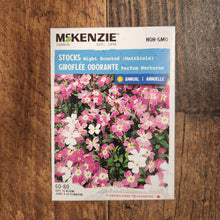 Sweet Wallflower