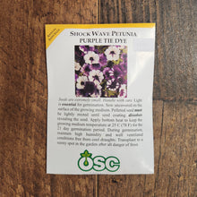 Pétunia Shock Wave 'Purple Tie Dye'