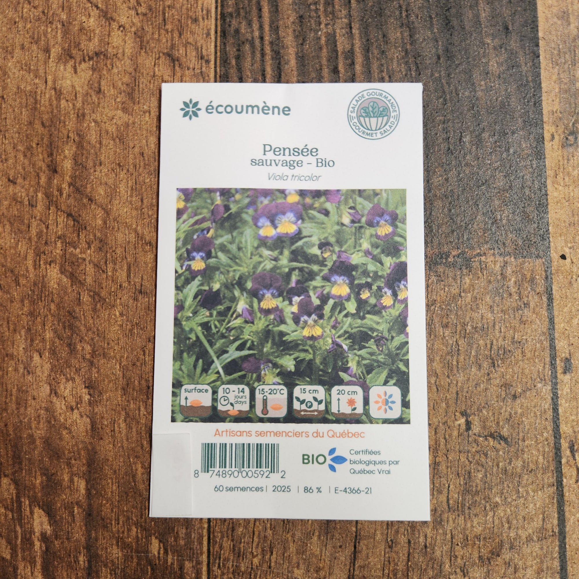 Organic Wild Pansy
