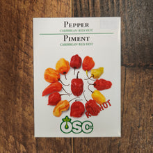 Piment fort 'Carribean Red Hot'