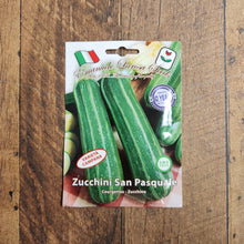 Zucchini 'San Pasquale'