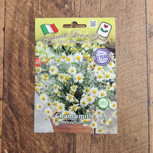 Camomille