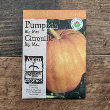 Organic 'Big Max' Pumpkin
