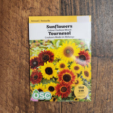 Tournesol mélange 'Colour Fashion'