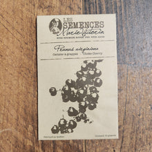 Cerisier à grappes