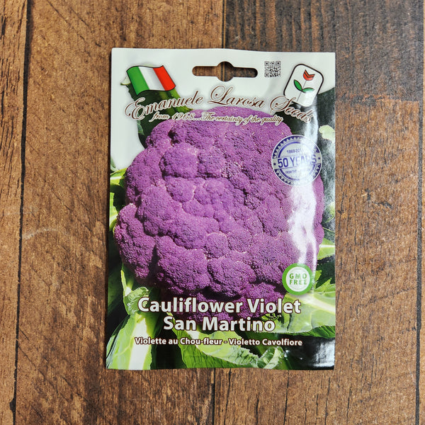Purple Cauliflower 'Violet San Martino'
